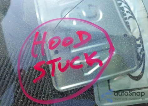 2019 Dodge Challenger R/T Scat Pack from USA, damaged, VIN 2C3CDZFJ0KH529246